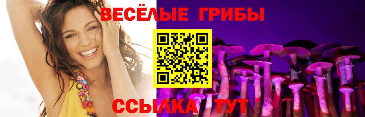 Галлюциногенные грибы Cubensis  Вход с VPN  Псилоцибиновые грибы ЛСД  Минеральные Воды 